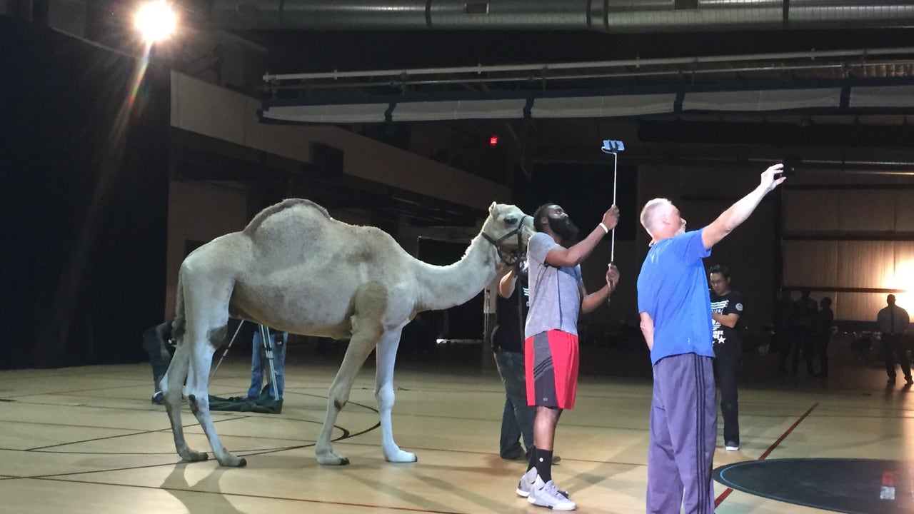 WATCH: James Harden meets camel, performs fan-suggested stunts